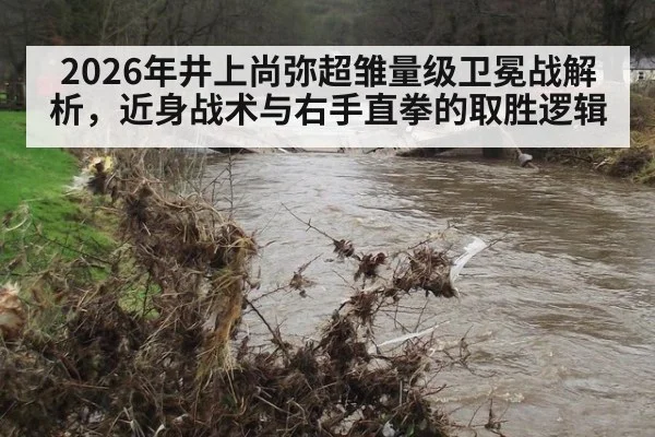 2026年井上尚弥超雏量级卫冕战解析，近身战术与右手直拳的取胜逻辑